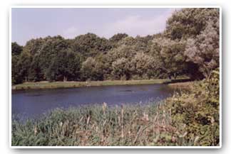 Cliffe Wood