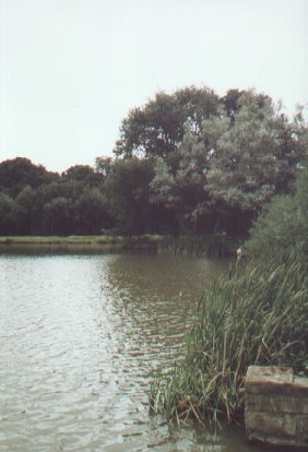 Lake in Dearne Valley Park
