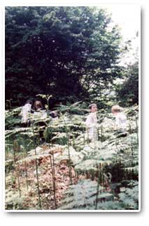 Investigating habitats