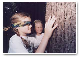 Exploring tree bark 