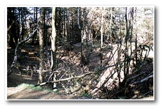 Bomb crater