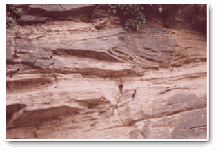 Boundary bank and ditch