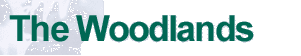 The Woodlands