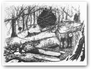 The prehistoric wildwood